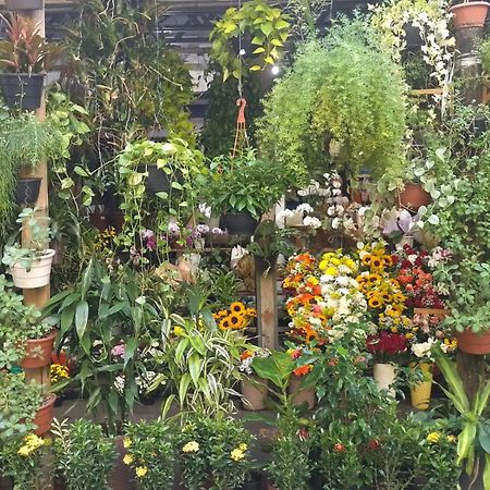 Apartamento Parque Jardim Europa Rio de Janeiro Bagian luar foto