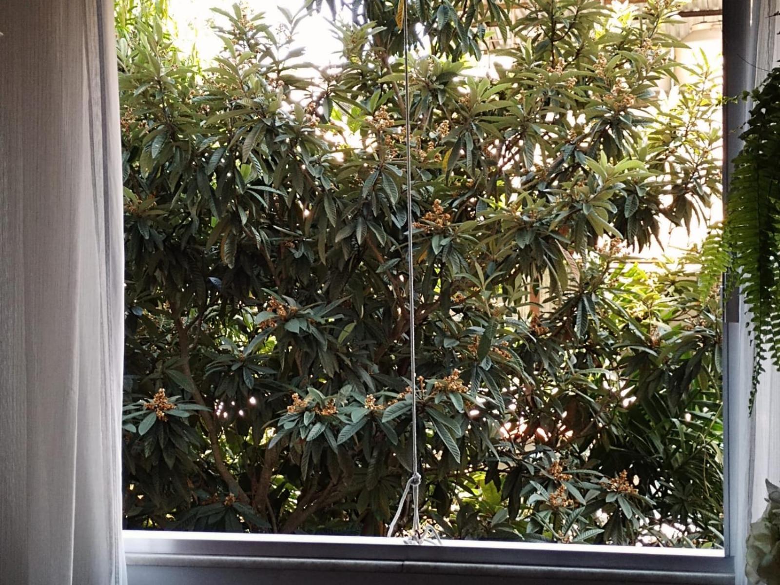Apartamento Parque Jardim Europa Rio de Janeiro Bagian luar foto